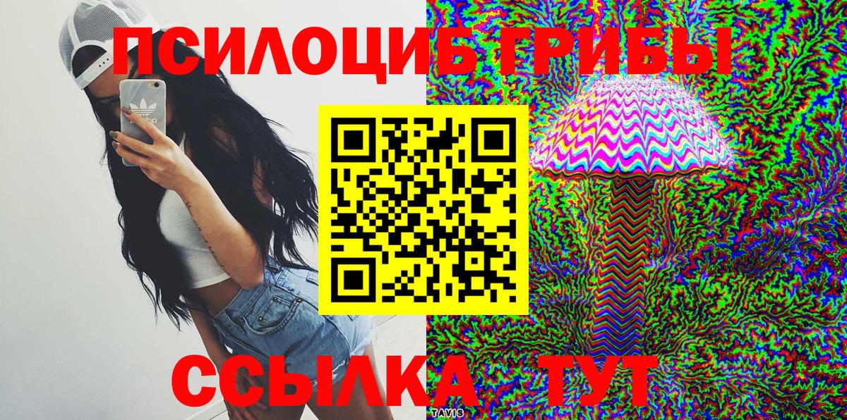 Галлюциногенные грибы Psilocybe  Вход с VPN  Дзержинск 